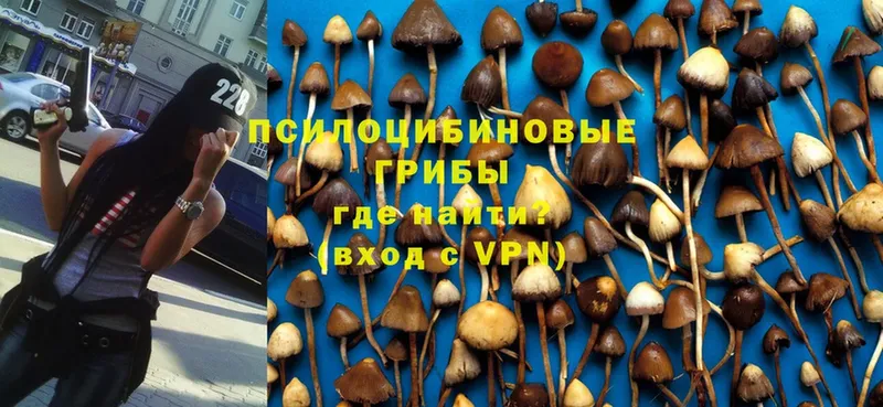 где продают   Карабаш  Псилоцибиновые грибы MAGIC MUSHROOMS 